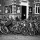 Sea of Bicycles, Amsterdam, Netherlands © lucia eggenhoffer